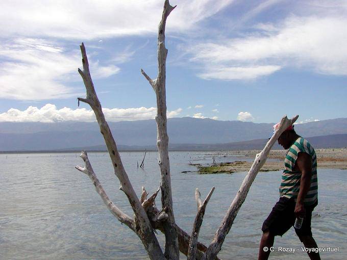 Solitude et bois mort, lac Enriquillo - Rép. Dominicaine