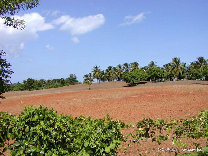 Terre rouge, Miches, Hata Mayor - Rép. Dominicaine