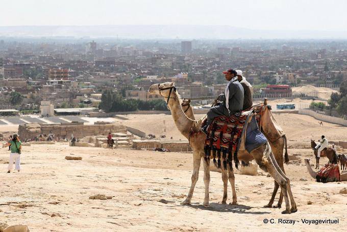 Chameliers devant un panorama du Caire - Égypte