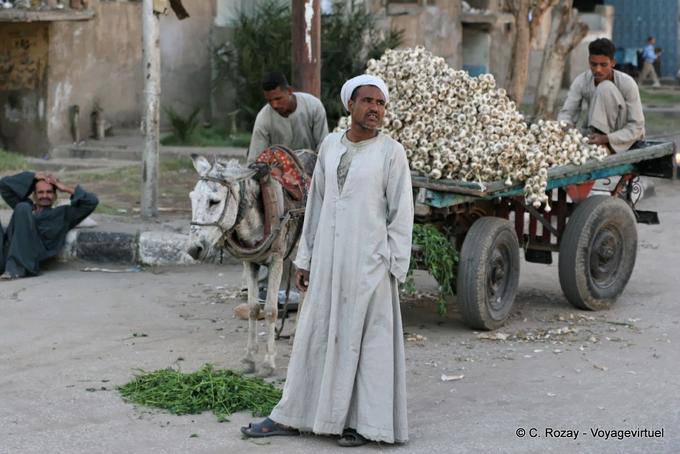 Marchand d'ail, Louxor - Égypte