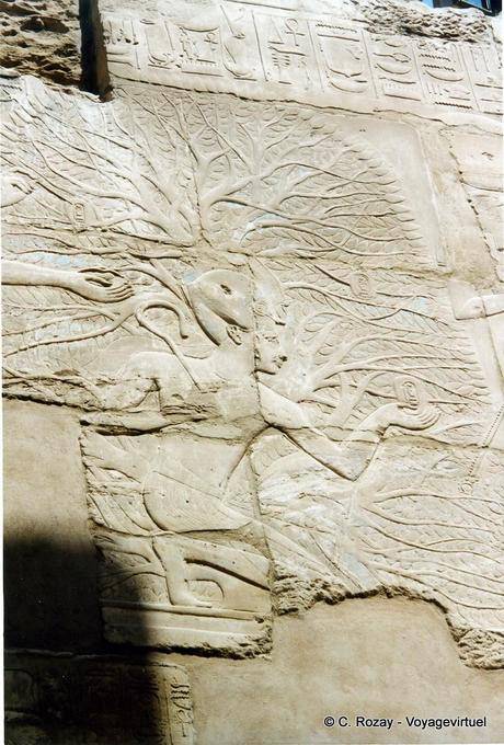 Thot inscrit le nom de Séthy 1er sur les fruits de l'arbre-iched, temple de Karnak - Égypte