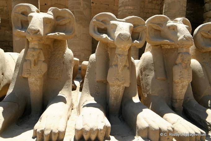 Pattes de lion des béliers sphynx tenant le pharaon, temple de Karnak - Égypte