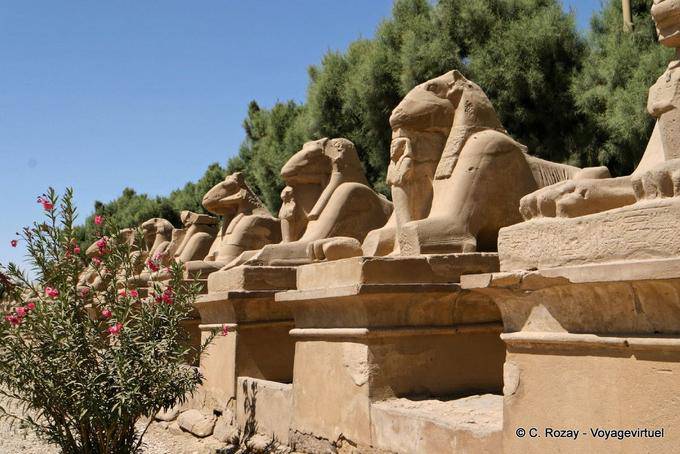 Allée de sphinx criocéphales à l'entrée du site de Karnak - Égypte