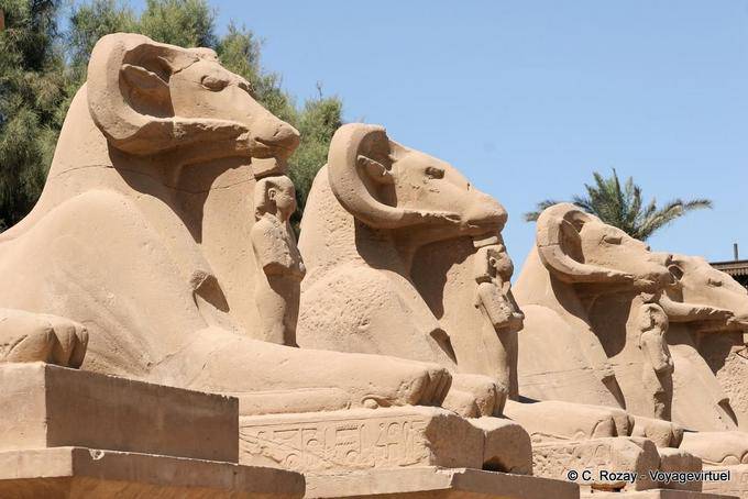 Sphinx criocéphales, divinités à tête de bélier du panthéon égyptien, temple de Karnak - Égypte