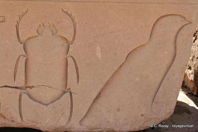 Scarabée et oiseau, relief en creux, temple de Karnak - Égypte