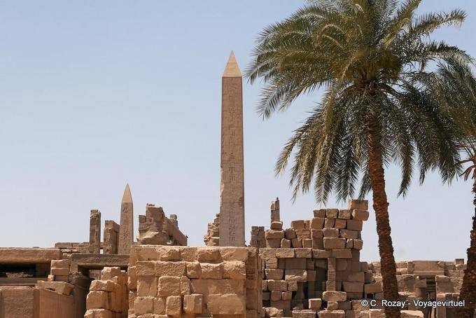 Le palmier et les obélisques, site archéologique de Karnak - Égypte