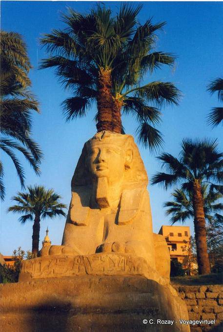 Sphinx à tête du roi Nectanebo, Temple de Louxor - Égypte