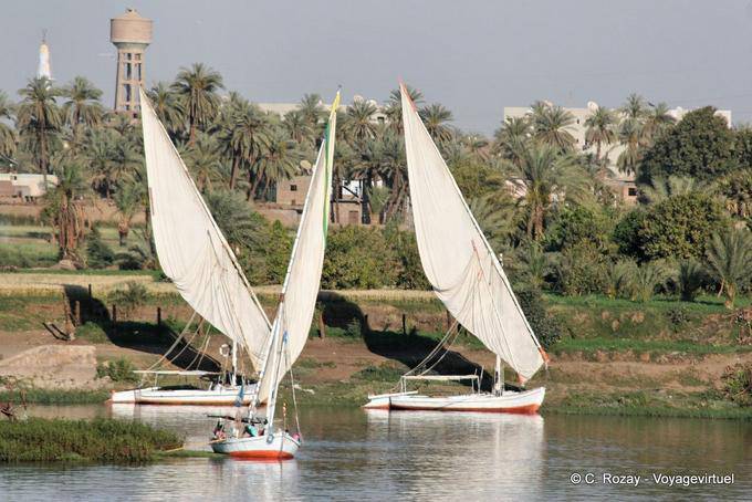 Voiles en forme de trapèze et palmiers Nil - Égypte