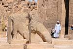 Lions gardant le temple d'Isis, Temple de Philae, Egypte.