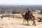 Chameliers devant un panorama du Caire, Egypte.