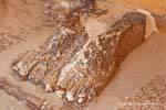 Pieds de statue, Djéser, Saqqarah, Egypte.