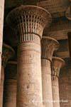 Ensemble de colonnes florales comme des papyrus de pierre, Hall des colonnes, Temple de Khnoum, Esna, Egypte.