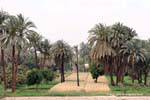 Campagne et champ cultivé aux environs d'Esna, Egypte.