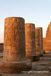 Autre vue des colonnes tronquées éclairées par le soleil couchant, temple de Kôm Ombo, Egypte.