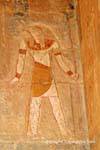 Peinture murale d'un Horus en couleur, temple d'Hatchepsout, Egypte.