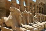 Rangée de Sphinx, portique des bubastites, première cour, temple de Karnak, Egypte.