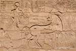 Fresque du Pharaon conduisant son char, temple de Karnak, Egypte.