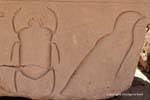Scarabée et oiseau, relief en creux, temple de Karnak, Egypte.