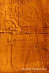 Amenhotep III fait une offrande à Amon, bas-relief, Louxor, Egypte.