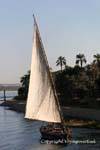 Grande voile blanche sur le Nil, Egypte.