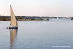 Felouca dans les méandres du fleuve, Egypte.