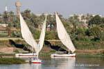 Voiles en forme de trapèze et palmiers Nil, Egypte.