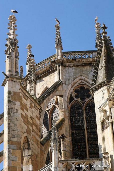 Cigognes sur la cathédrale de León - Espagne