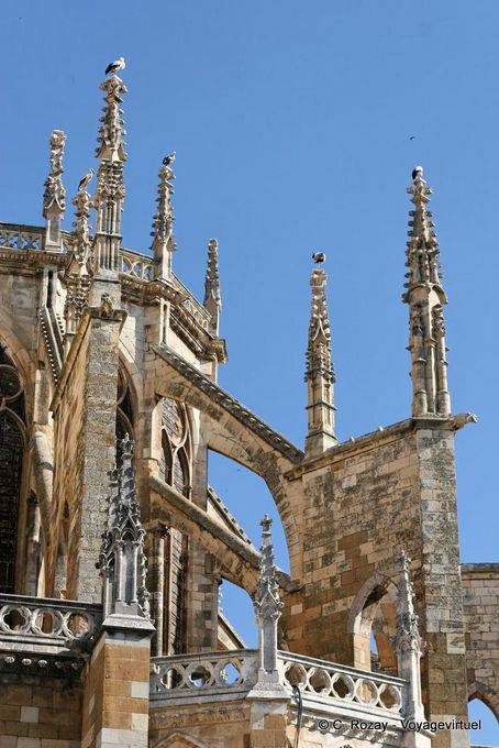 Autre vue sur les cigognes installées sur la dentelle de pierre, Cathédrale Notre-Dame de León - Espagne