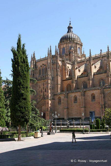 Vue générale, cathédrale Nueva de la Asunción de la Virgen, Salamanque - Espagne