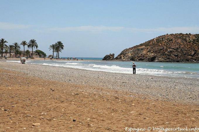 Costa Calida, plage et cocotiers - Espagne