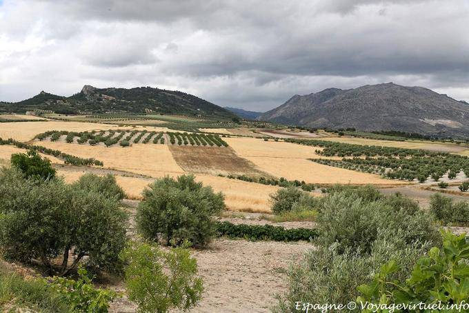 Lorca, paysage de la campagne en Murcie - Espagne