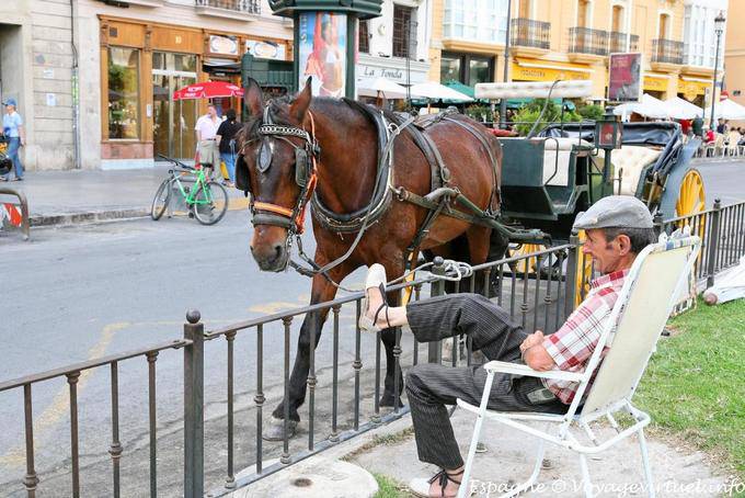 Valencia, repos pour le conducteur de calèche - Espagne