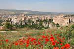Cuenca, Panorama aux coquelicots, Espagne.