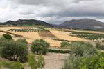 Lorca, paysage de la campagne en Murcie, Espagne.