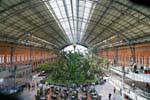 Madrid, jardin tropical dans la station Atocha, Espagne.