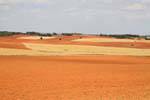Couleurs de terre et de culture, Mancha, Espagne.