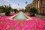 Murcia, jardin devant la Casa Consistorial, Espagne.