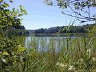 Lac du Petit Maclu, nature sauvage, Jura - Franche-Comté, France.