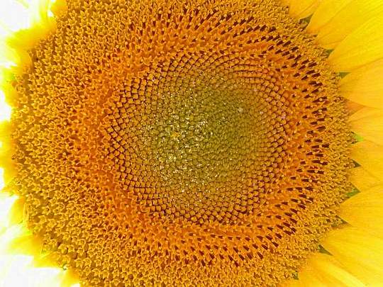 Soleil
Soleil en Haute-Saône
Mots-clés: soleil haute-saône