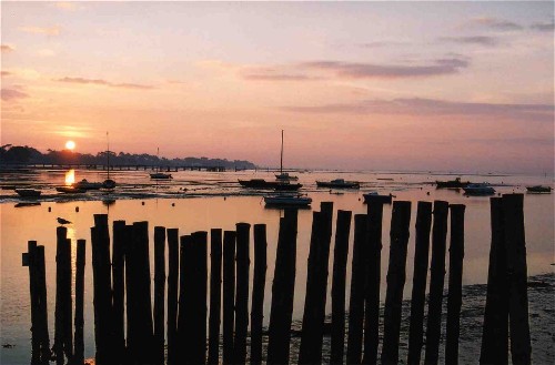 Bassin d'Arcachon, lever de soleil, Andernos les Bains
Lever de soleil sur le Bassin d'Arcachon - Andernos les Bains - Gironde
Mots-clés: Arcachon Andernos