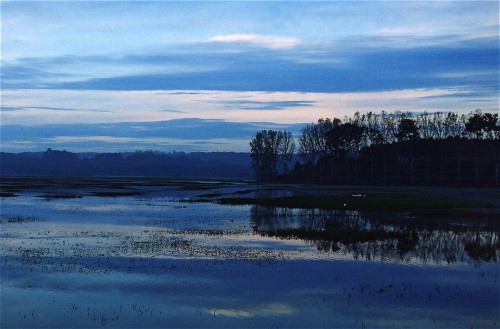 Bleu crépusculaire. Crépuscule sur le marais d'Orx
Département des Landes
