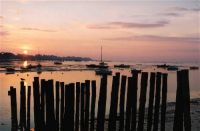 Bassin d_Arcachon.jpg