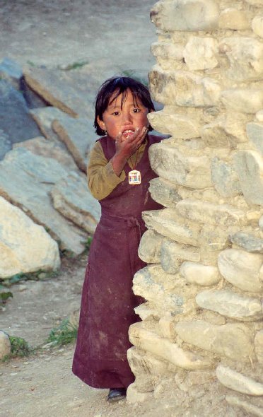 Surprise au Dolpo 2001, Népal
