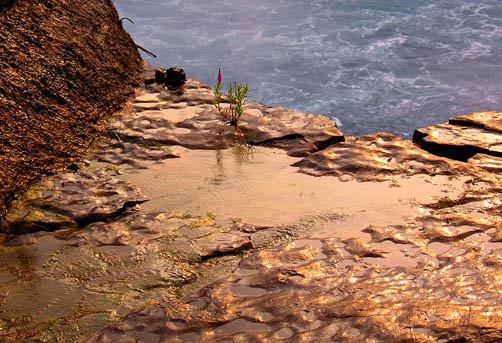 "Reflets dorés" NIagara Falls 2005
OLYMPUS DIGITAL CAMERA         
