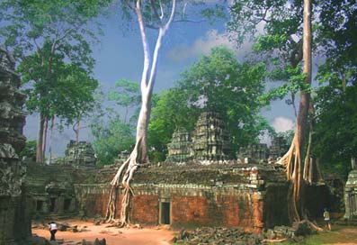 Vision prenante de la nature envahissant le temple de Ta Prohm sur le site d'Angkor au Cambodge
Mots-clés: Ta-Prohm Angkor Cambodge