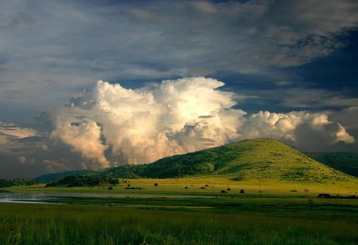 Après la pluie Sun City (Afrique du Sud)
Mots-clés: Sun-City Afrique-du-Sud