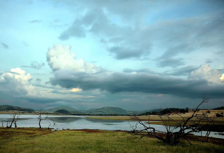 Observatoire aux Oiseaux à Sun City (Afrique du Sud)
Mots-clés: Afrique-du-Sud