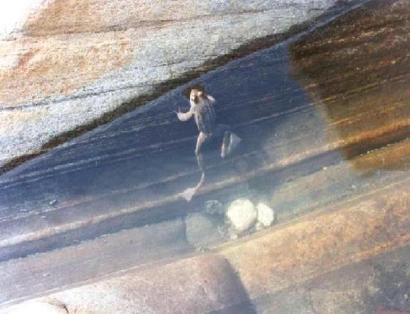 Grenouille / Verzasca - Suisse
