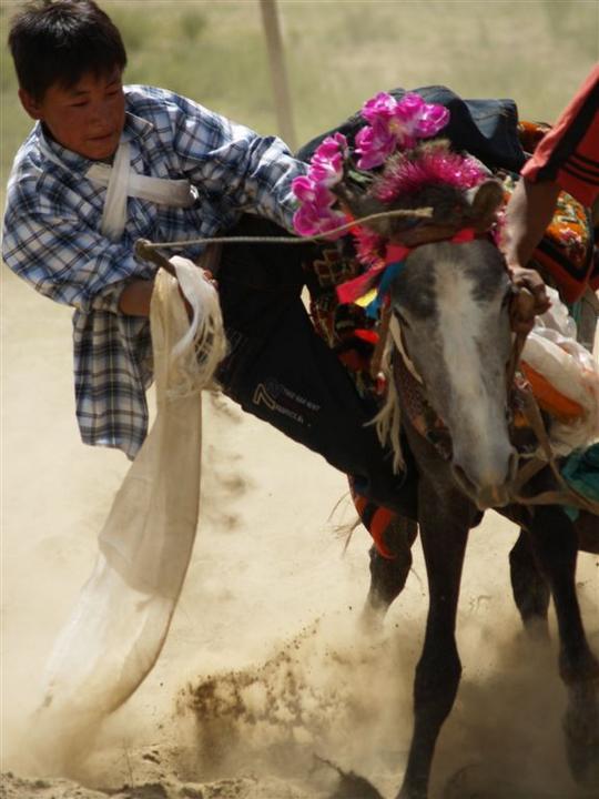 Cavalier en fête sur son cheval chamarré, couleurs du Tibet
Mots-clés: Tibet