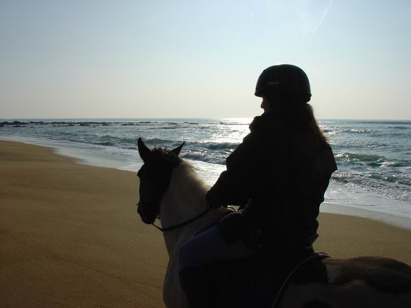 Balade à cheval sur la plage
